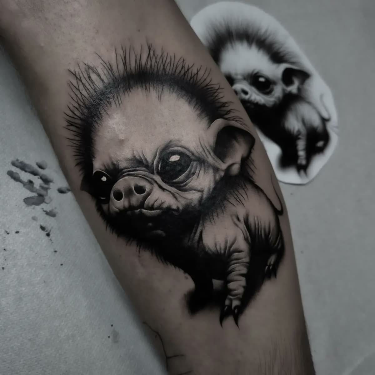 Cochonnet en réalisme noir et gris sur avant-bras