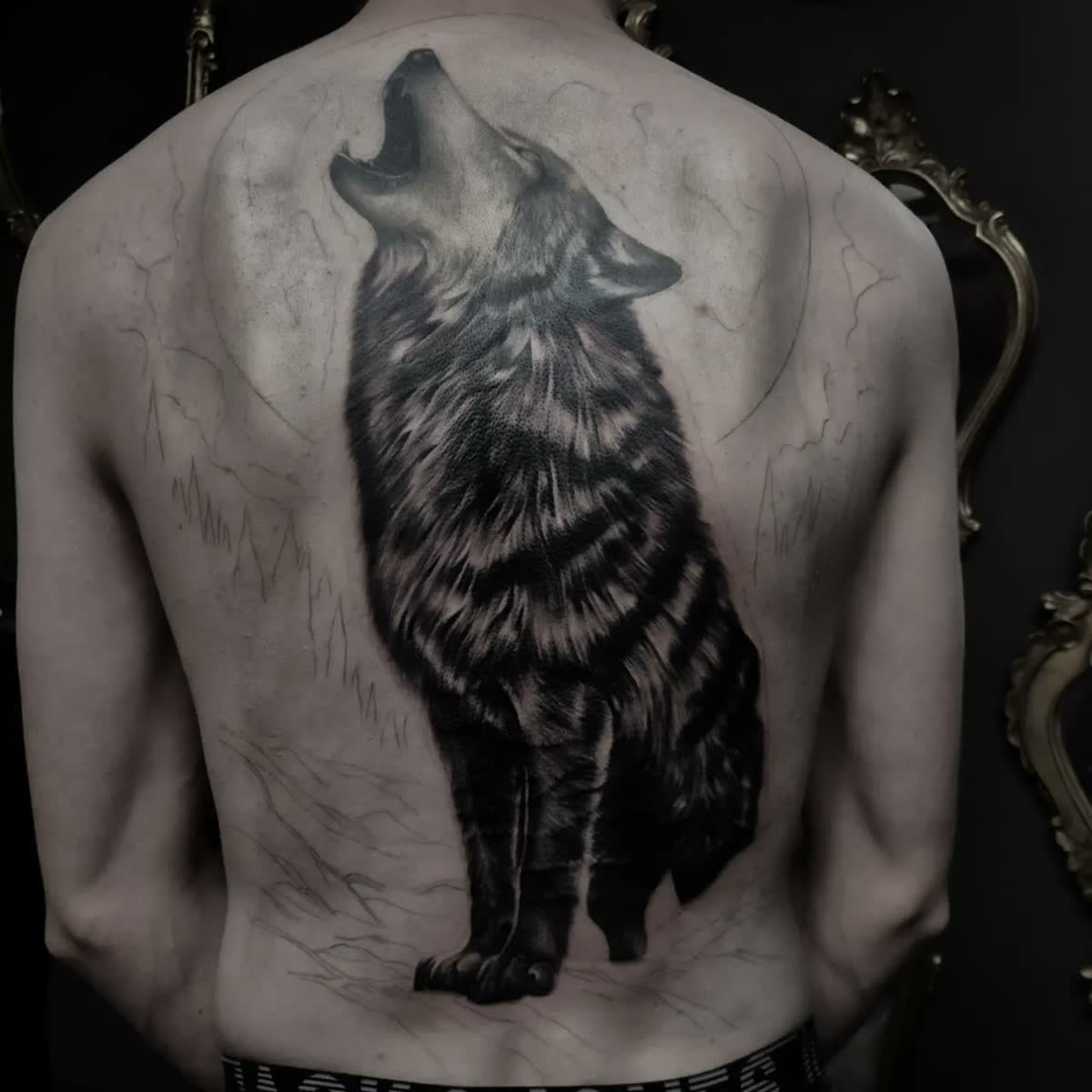 Loup hurlant en noir et gris, pièce de dos complète
